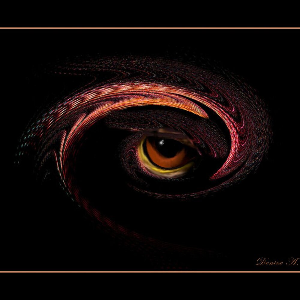 "EYEOPF TH HAWK"